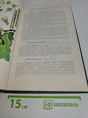 Дикорастущие лекарственные растения СССР