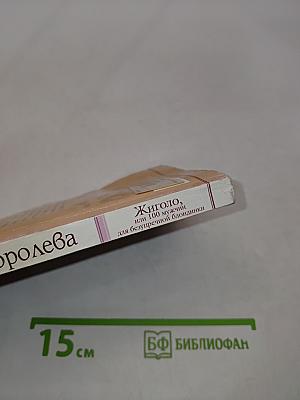 Жиголо, или 100 мужчин для безупречной блондинки