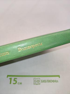 Водовороты