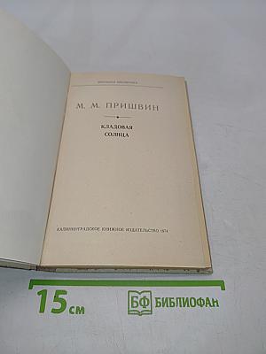 Кладовая солнца (Школьная библиотека)