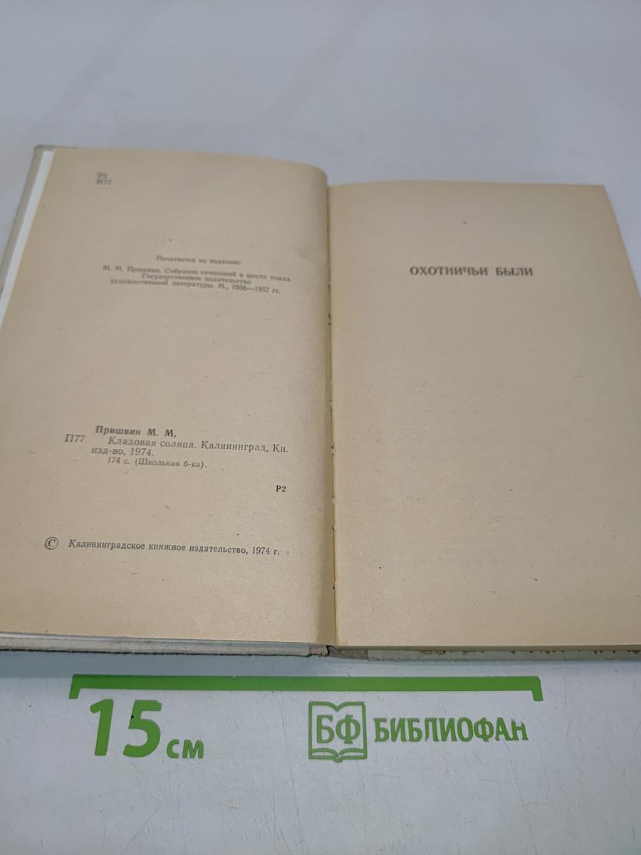 Кладовая солнца (Школьная библиотека)