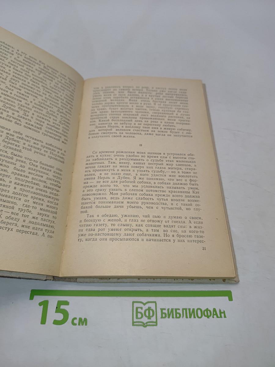 Кладовая солнца (Школьная библиотека)