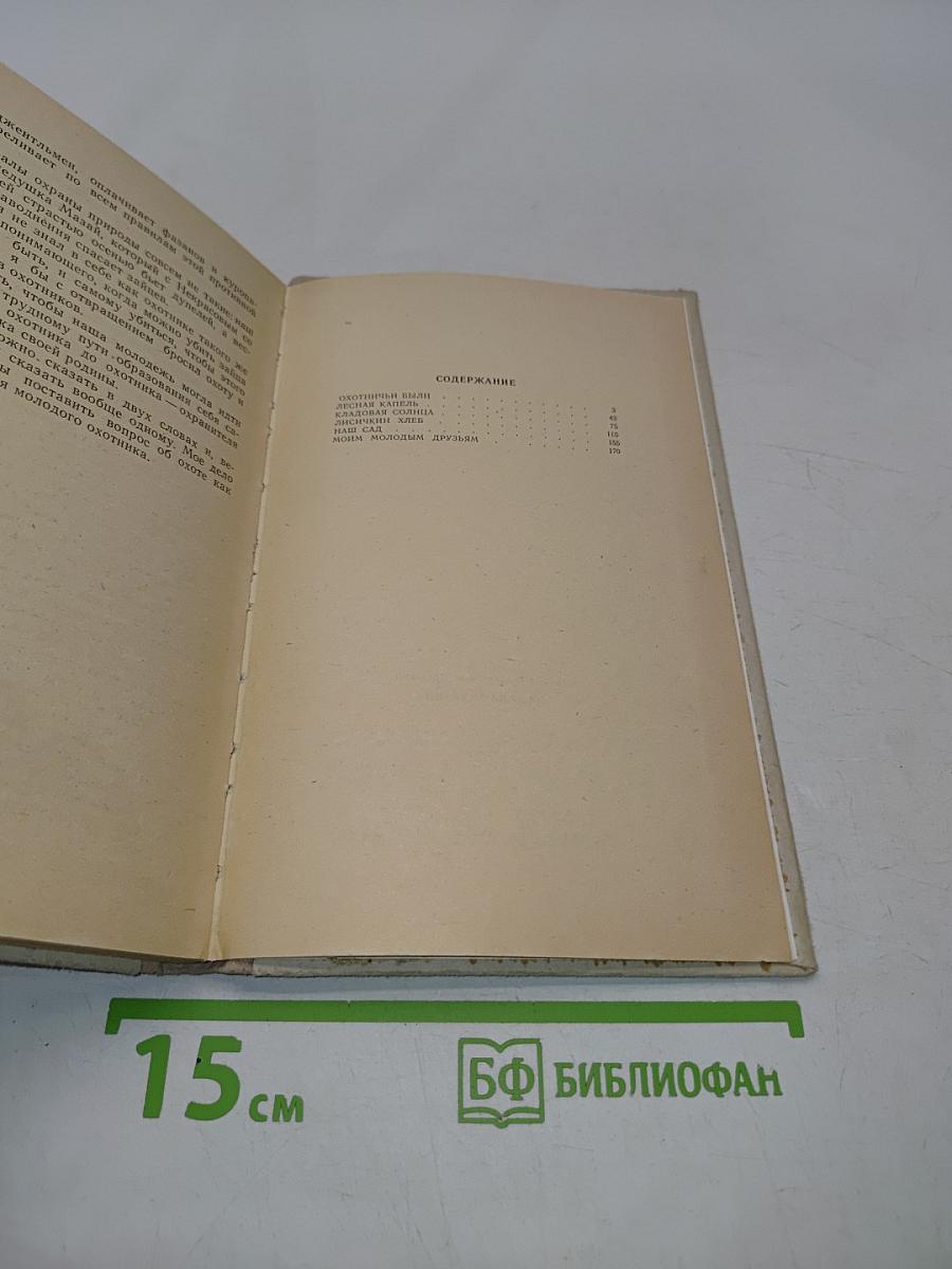 Кладовая солнца (Школьная библиотека)