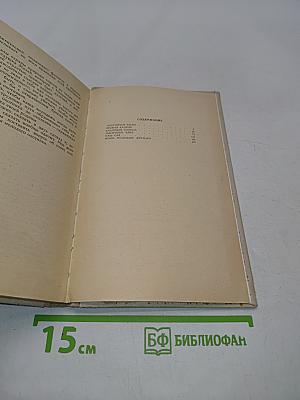 Кладовая солнца (Школьная библиотека)
