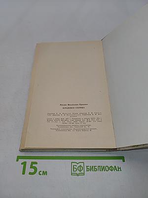 Кладовая солнца (Школьная библиотека)