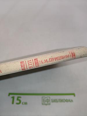 Кладовая солнца (Школьная библиотека)