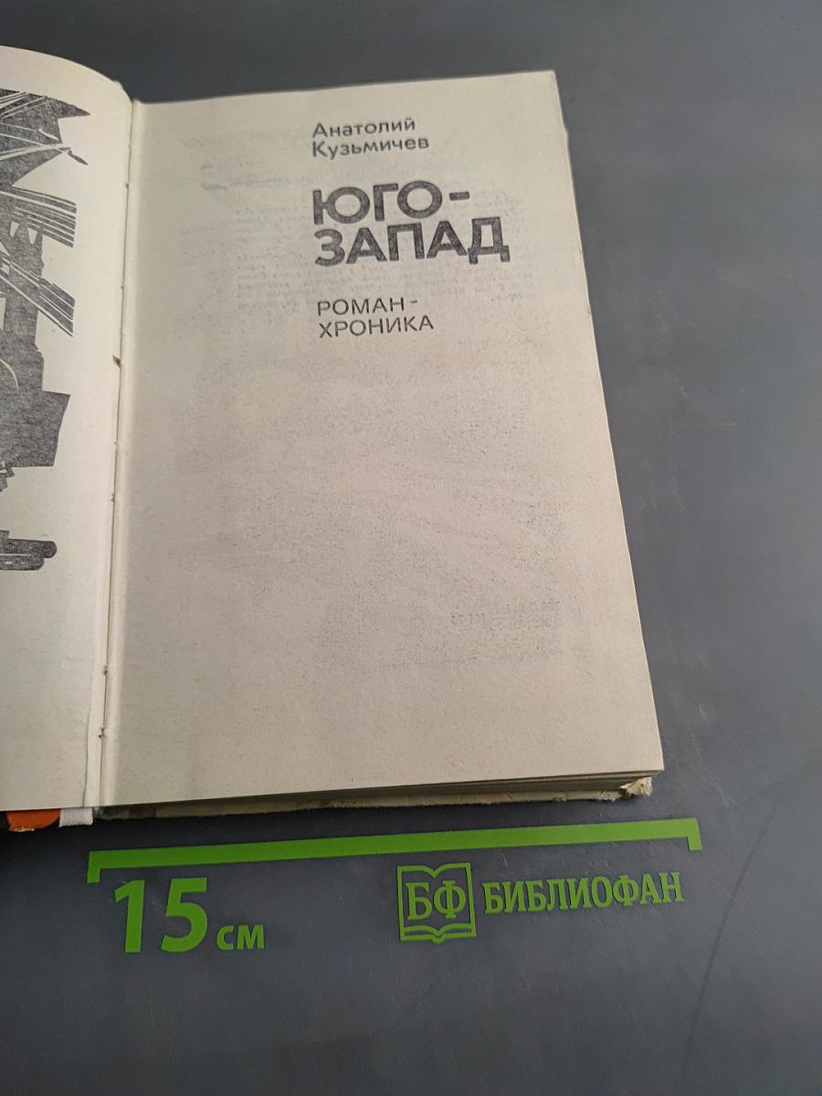 Юго-Запад. Роман-хроника