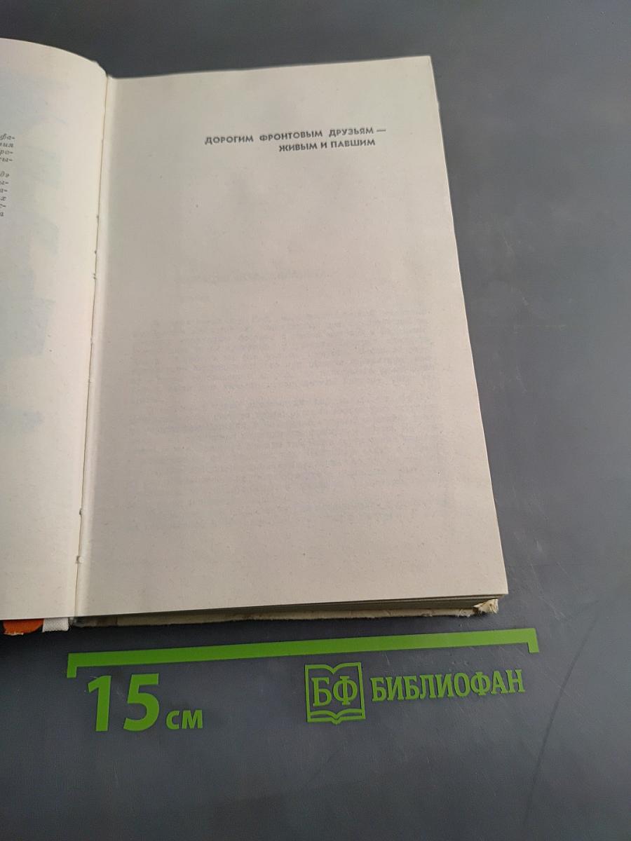 Юго-Запад. Роман-хроника