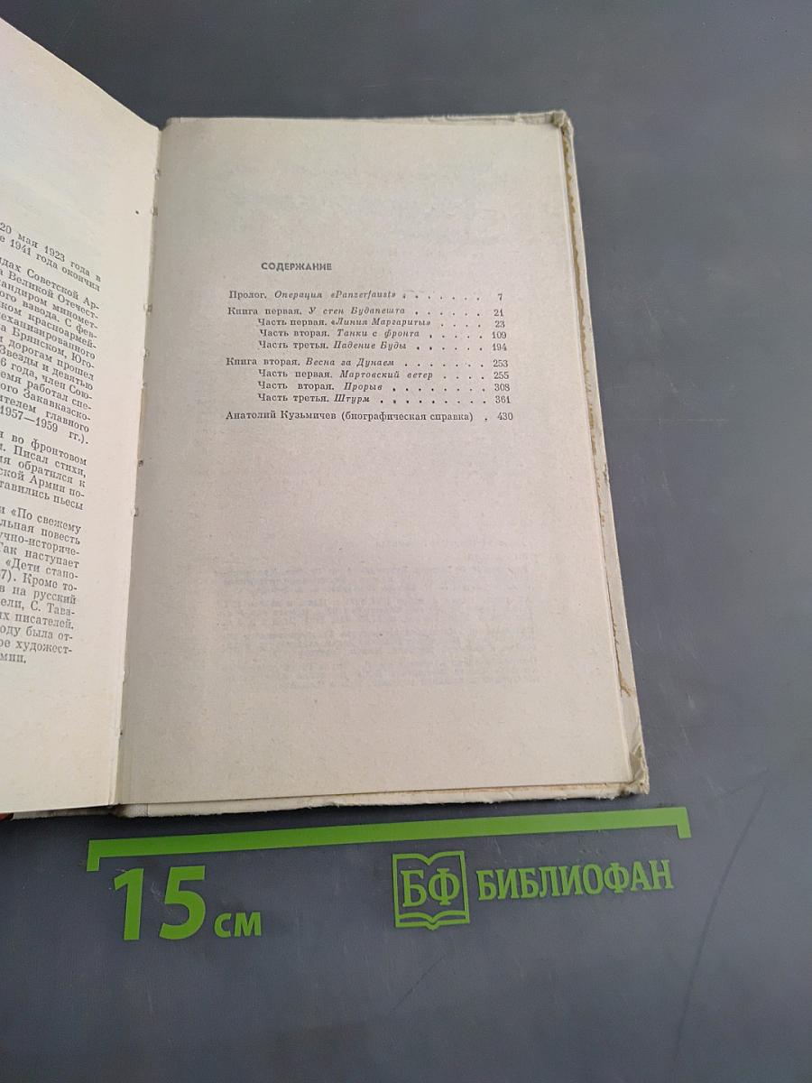 Юго-Запад. Роман-хроника