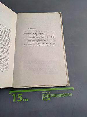 Юго-Запад. Роман-хроника
