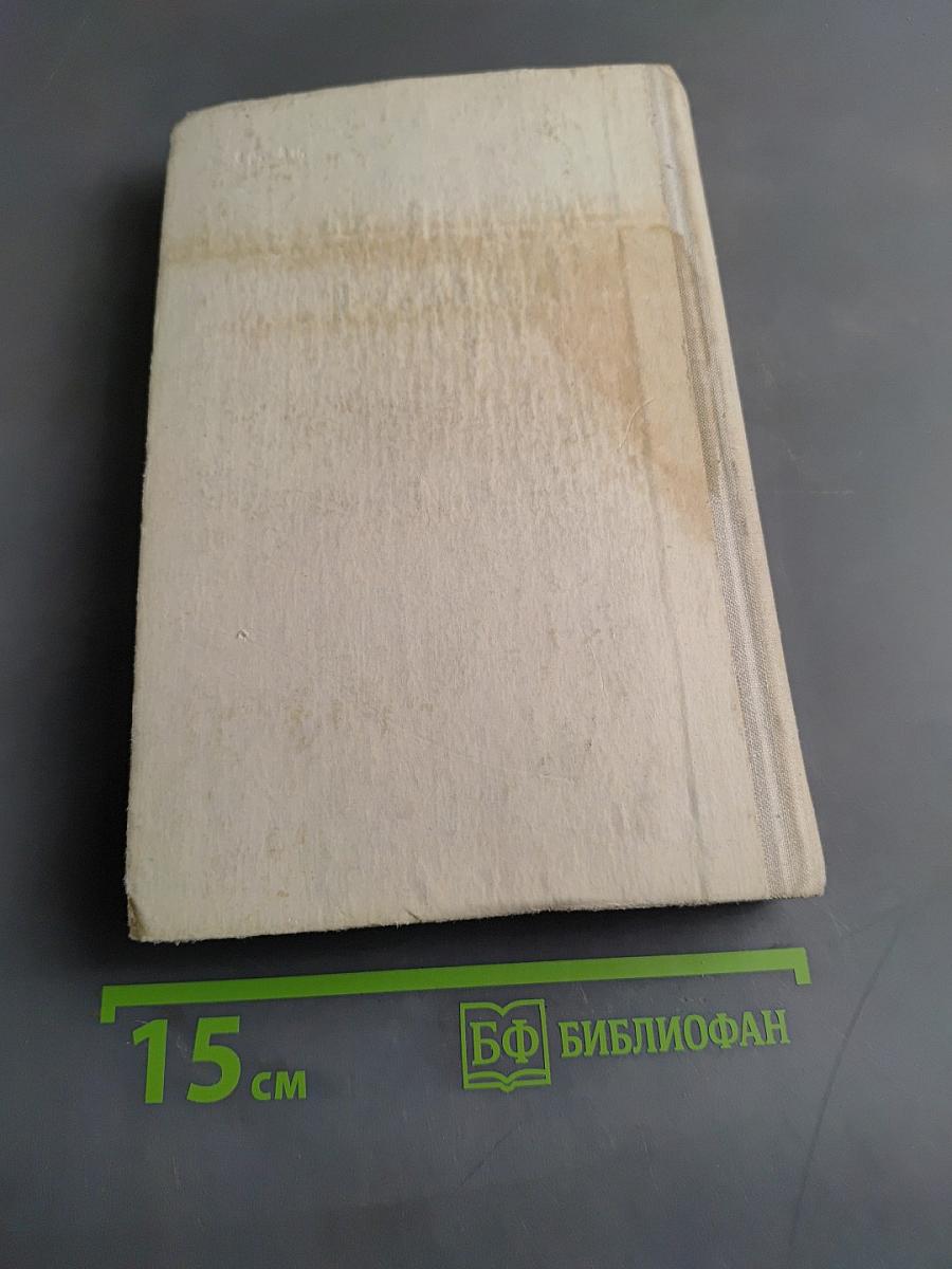 Юго-Запад. Роман-хроника