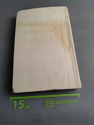 Юго-Запад. Роман-хроника