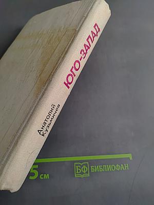 Юго-Запад. Роман-хроника