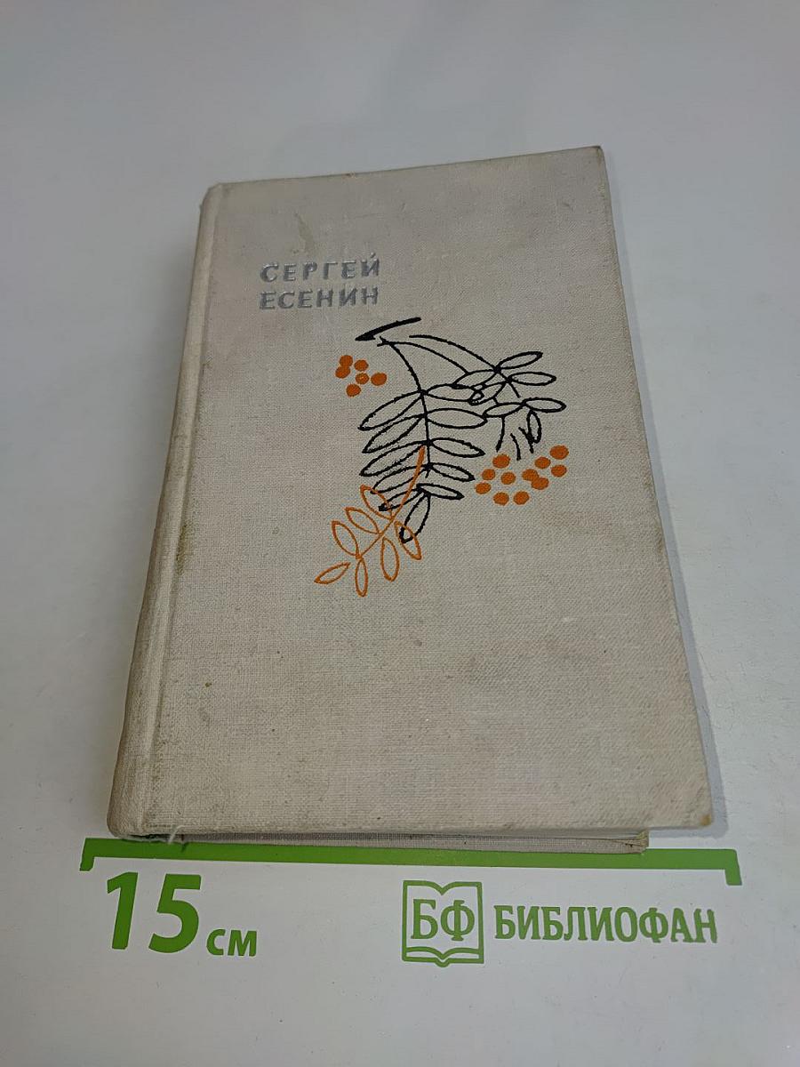 Словесных рек кипение и шорох