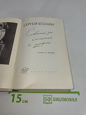 Словесных рек кипение и шорох