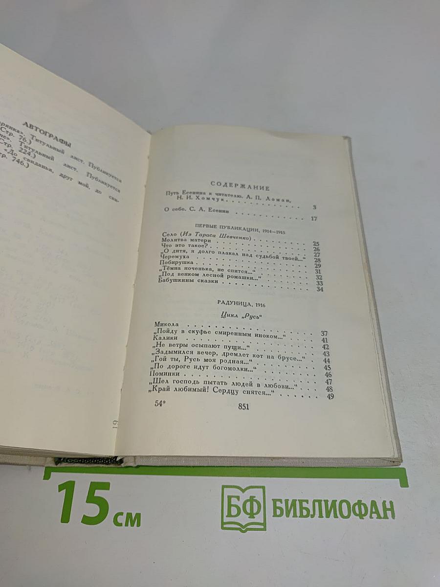 Словесных рек кипение и шорох