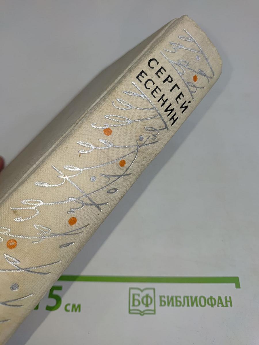 Словесных рек кипение и шорох