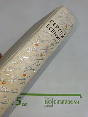 Словесных рек кипение и шорох