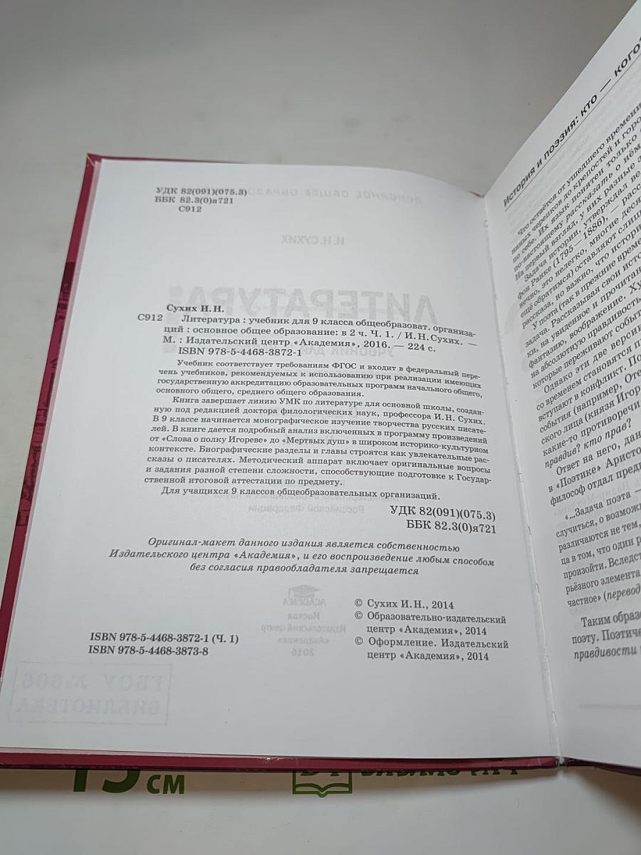 Литература. Учебник для 9 класса. Часть 2