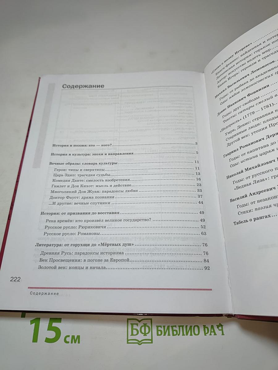 Литература. Учебник для 9 класса. Часть 2