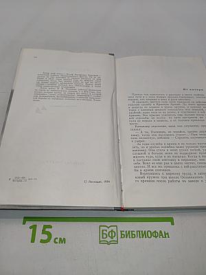 У стен Ленинграда