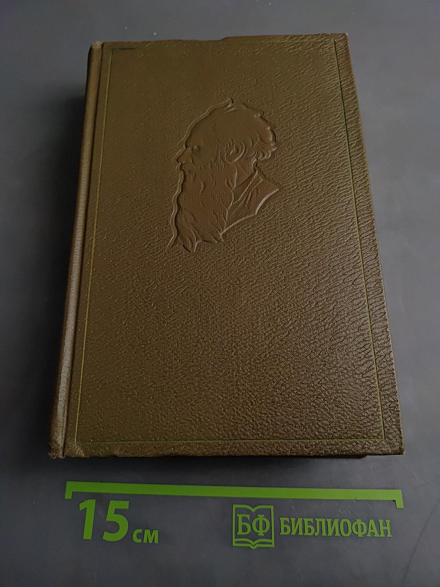 Собрание сочинений. Том десятый. Повести и рассказы 1872-1886 гг.