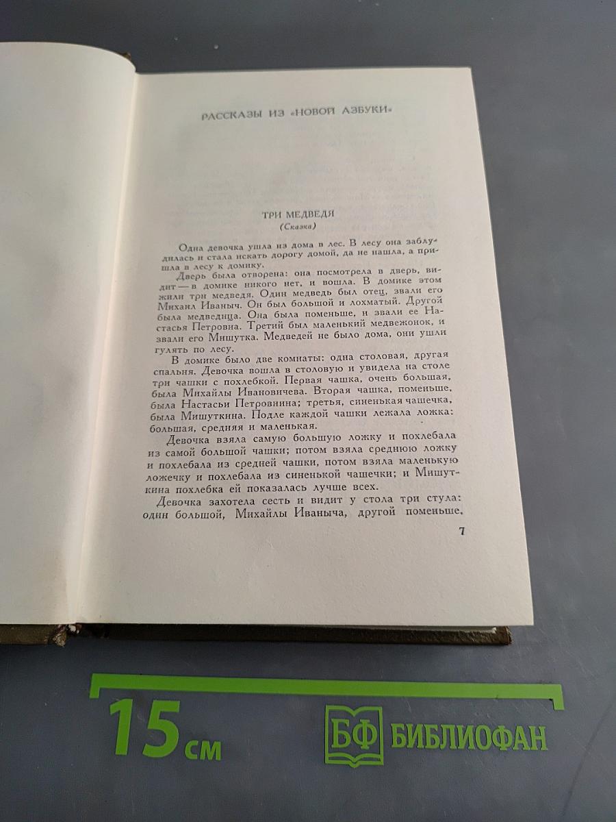 Собрание сочинений. Том десятый. Повести и рассказы 1872-1886 гг.