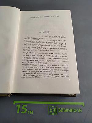 Собрание сочинений. Том десятый. Повести и рассказы 1872-1886 гг.