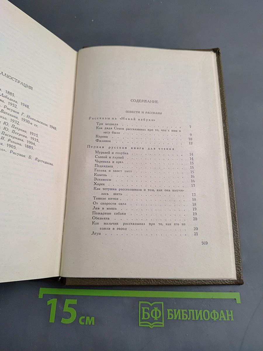 Собрание сочинений. Том десятый. Повести и рассказы 1872-1886 гг.