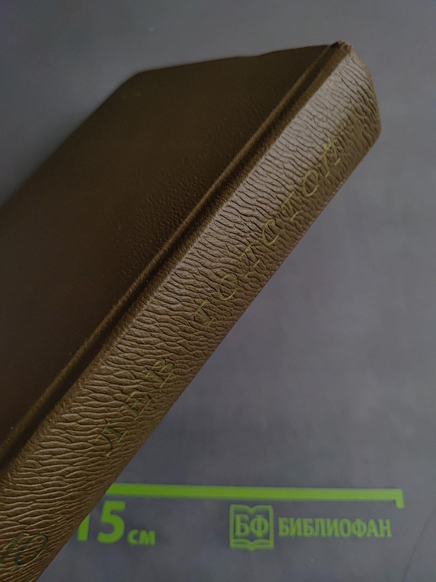 Собрание сочинений. Том десятый. Повести и рассказы 1872-1886 гг.