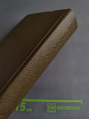 Собрание сочинений. Том десятый. Повести и рассказы 1872-1886 гг.