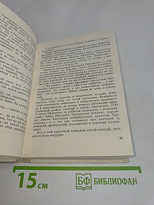 Белинский в Петербурге