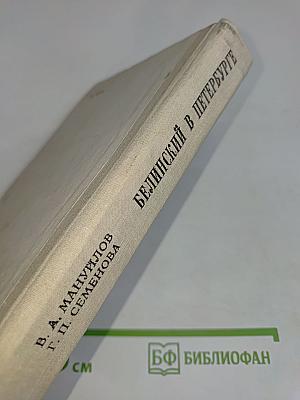 Белинский в Петербурге