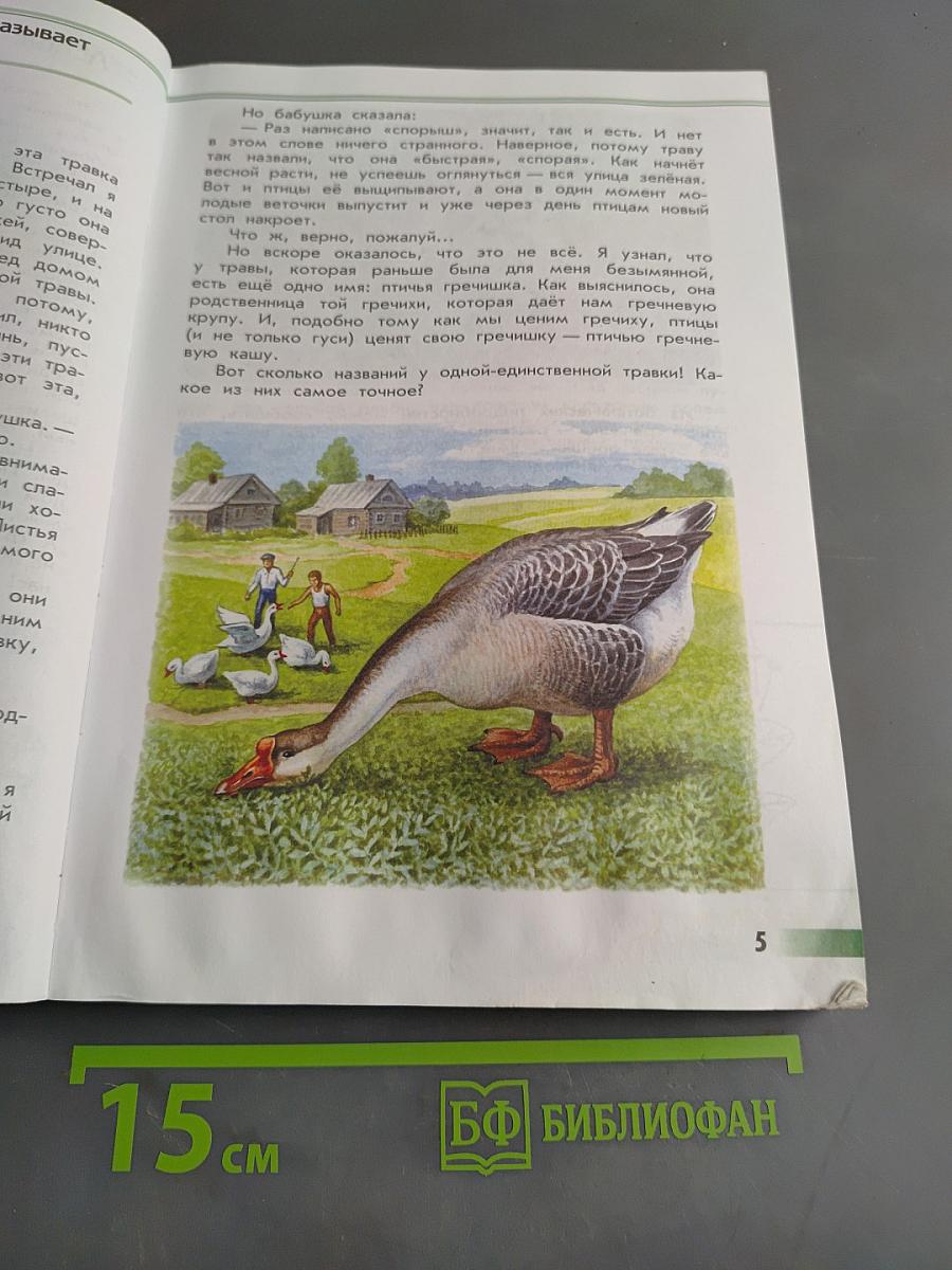 Зелёные страницы