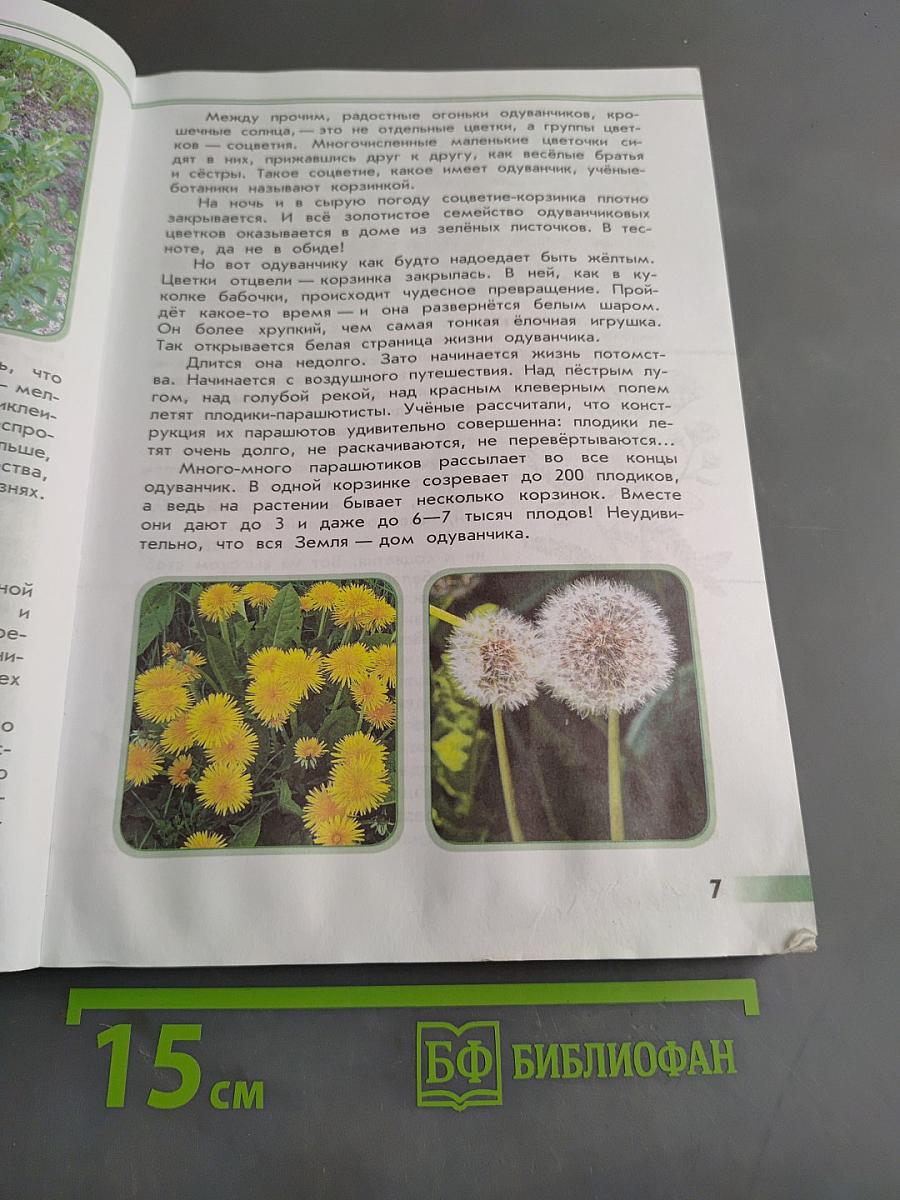 Зелёные страницы