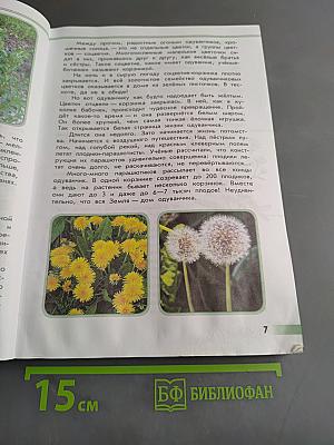 Зелёные страницы