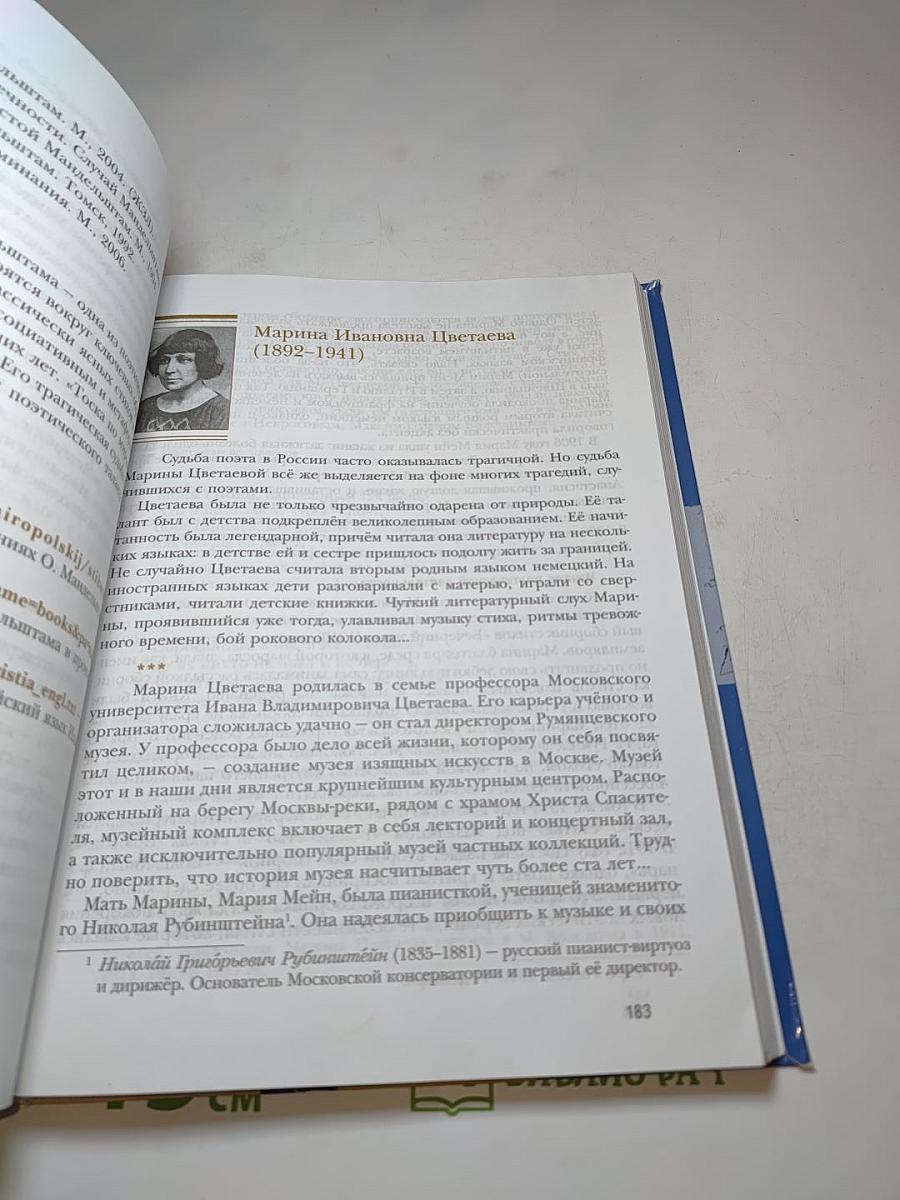 Литература 11 класс