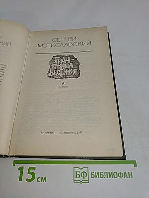 Грач - птица весенняя
