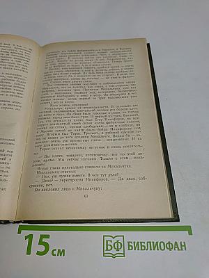 Грач - птица весенняя