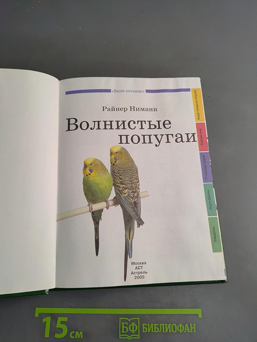 Волнистые попугаи