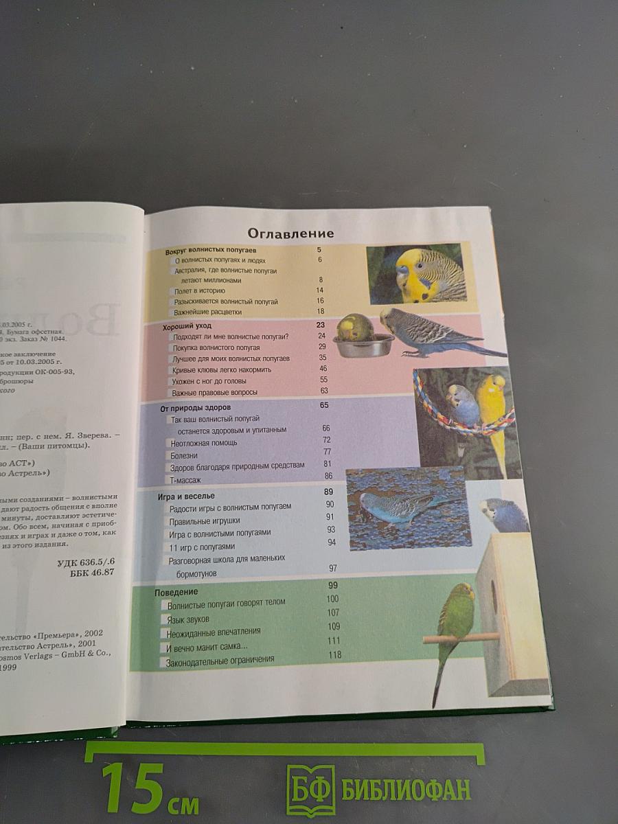 Волнистые попугаи