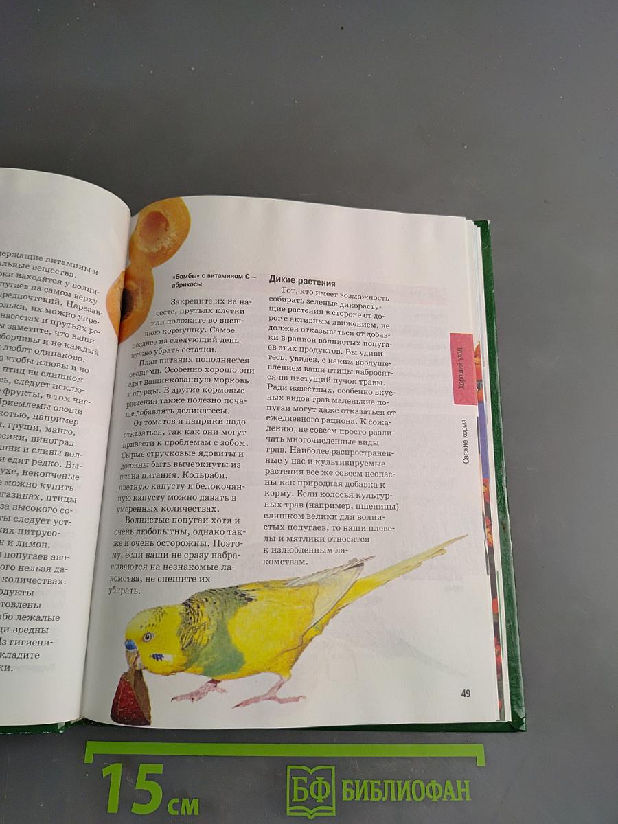 Волнистые попугаи