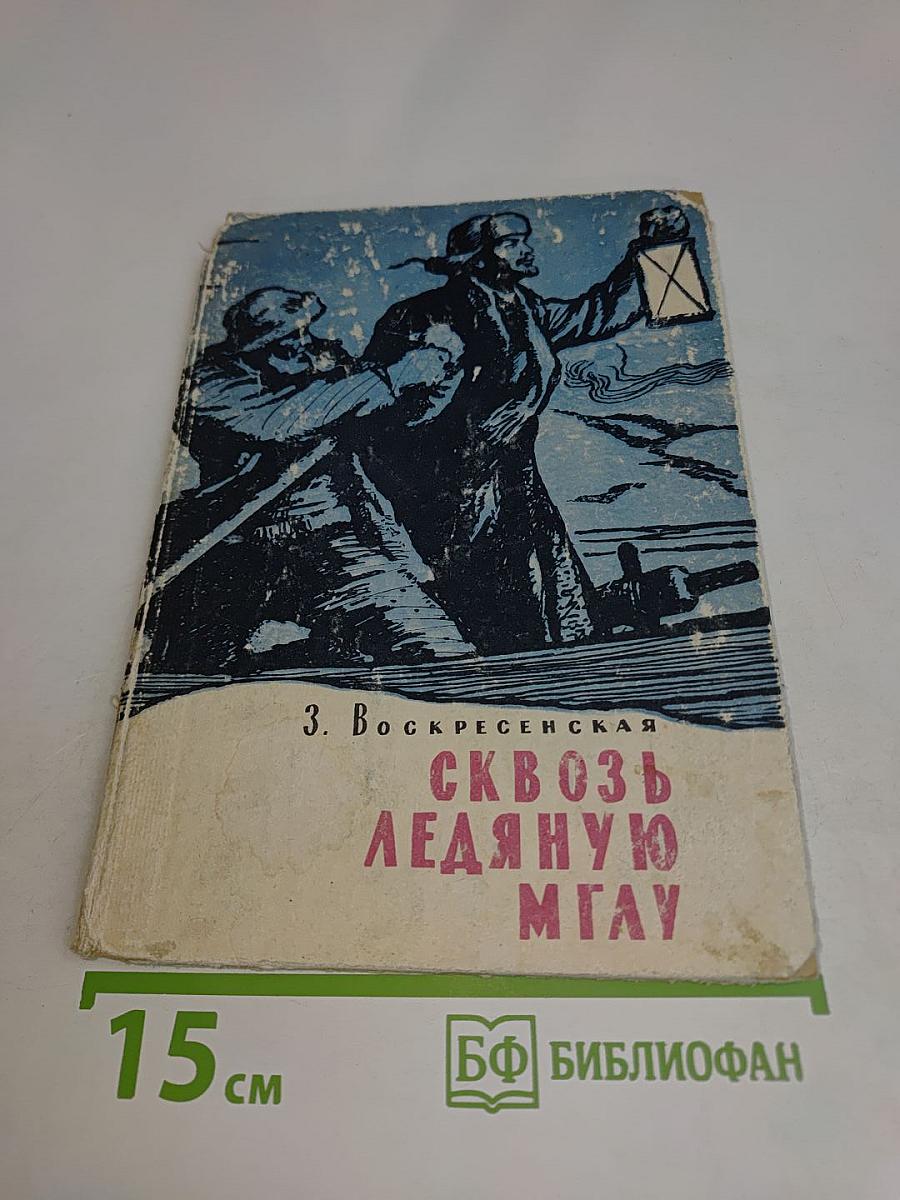 Сквозь ледяную мглу