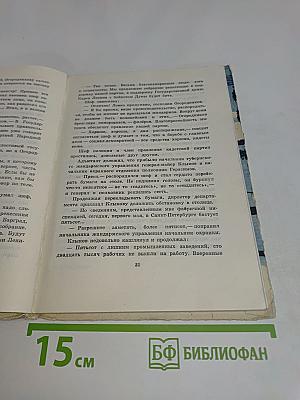 Сквозь ледяную мглу