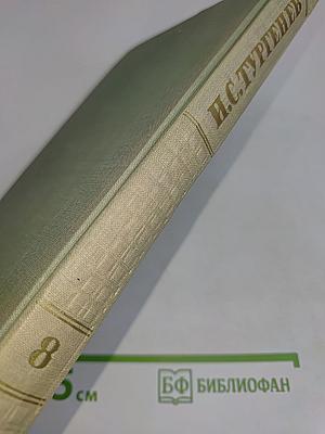 Собрание сочинений. Том восьмой. Повести и рассказы 1870-1882