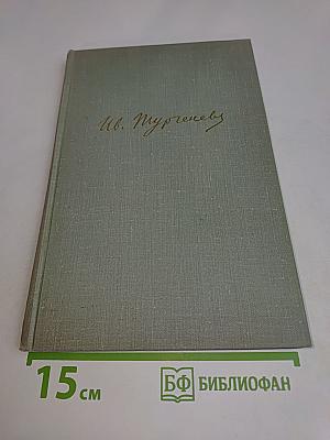 Собрание сочинений. Том седьмой. Повести и рассказы 1862-1870
