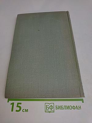 Собрание сочинений. Том седьмой. Повести и рассказы 1862-1870