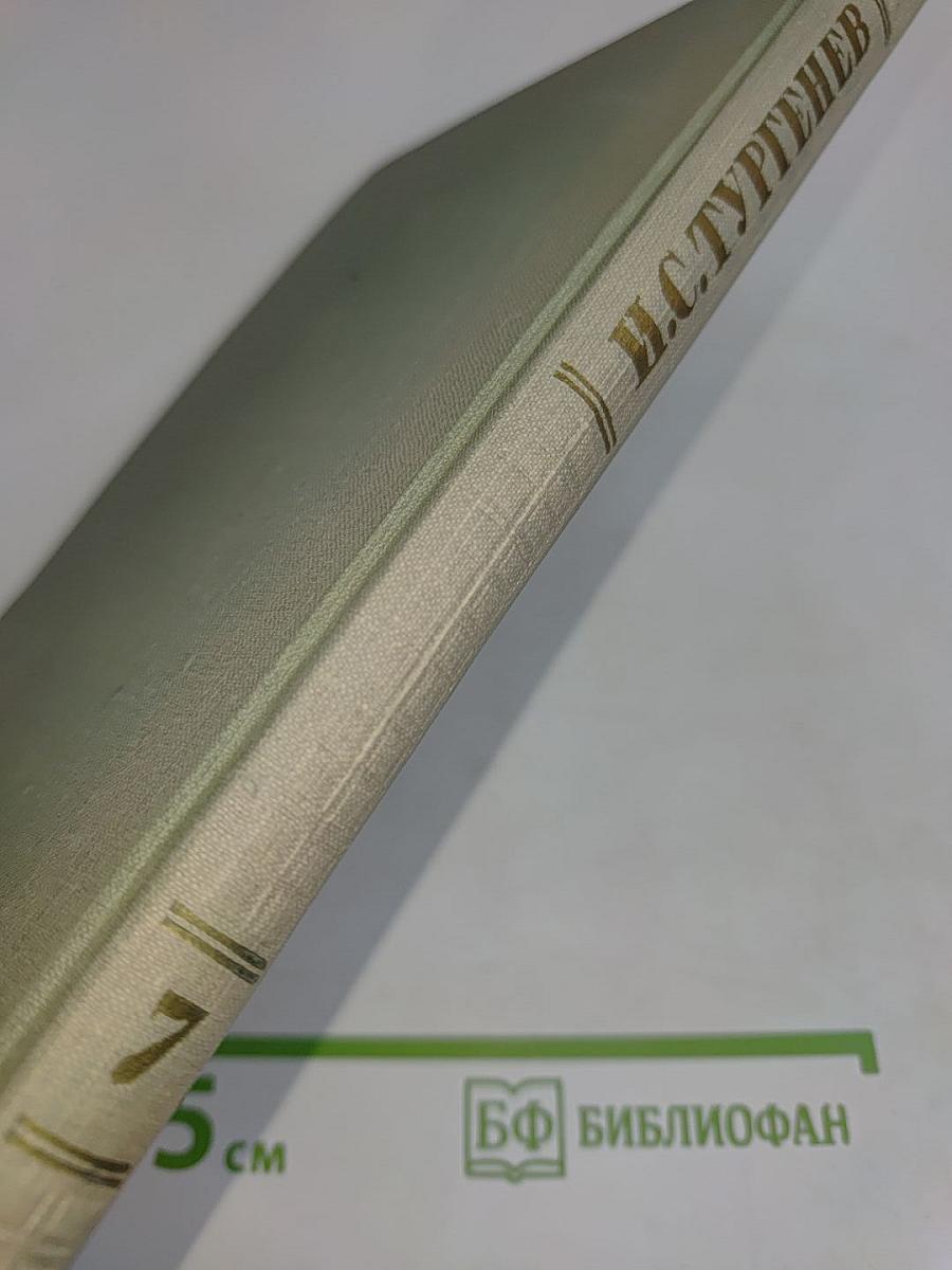 Собрание сочинений. Том седьмой. Повести и рассказы 1862-1870