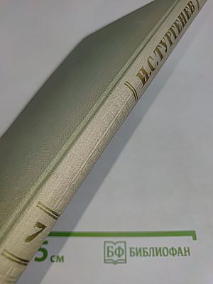 Собрание сочинений. Том седьмой. Повести и рассказы 1862-1870