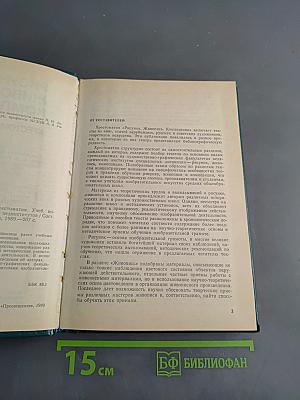 Рисунок. Живопись. Композиция. Хрестоматия